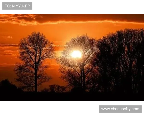 太阳成app：提升心情与生活品质的阳光能量辅助软件